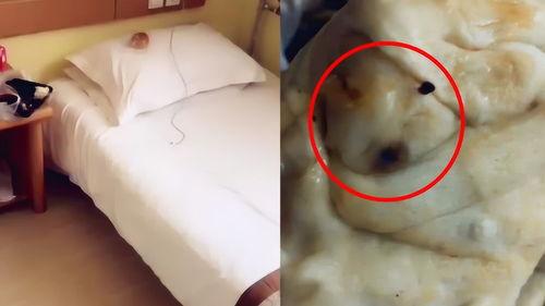 留学生爆料宾馆视频网站,宾馆视频网站惊现不雅内容，引发社会关注