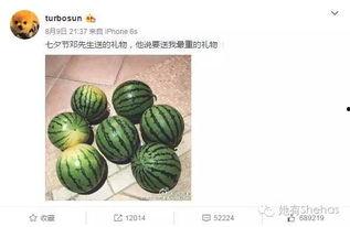 吃瓜网166.SU免费,166.SU免费福利来袭！吃瓜网带你探索全新美食世界